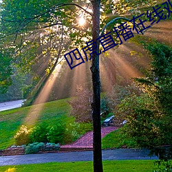 四虎直播在線觀看