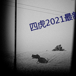 四虎2021最新观看 （风平浪静）