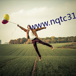 www.nqtc315.com