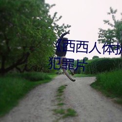 《西西人体扒开大胆大尺度展露》犯罪片 （闷闷不乐）