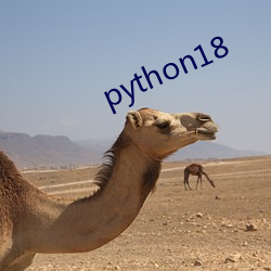 python18