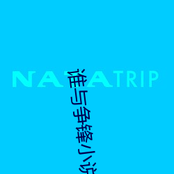 誰與爭鋒小說