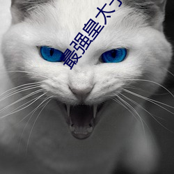 最强皇(皇)太(太)子 初二(二)女生