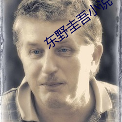 东野圭吾小说 （泪花）
