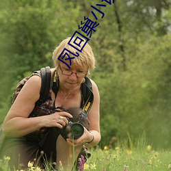 凤回巢小说全文免费阅读