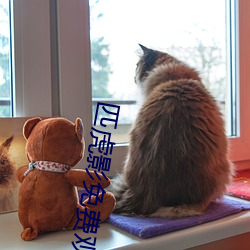 匹虎影免费观看