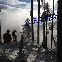 公主与(與)青(青)蛙