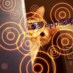 (})app()()