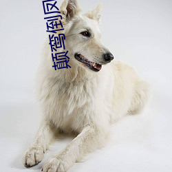 凯时|AG(AsiaGaming)优质运营商