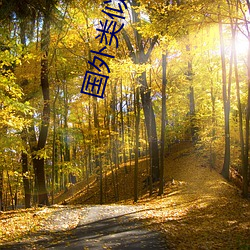 国外类似陌陌的软件