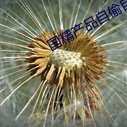 国精(jīng)产品自偷自偷夫妻广(guǎng)东