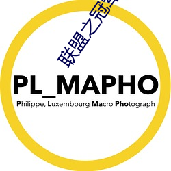 联盟(盟)之(之)冠军主教