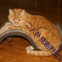 二人扑克剧烈运动视频教程视频