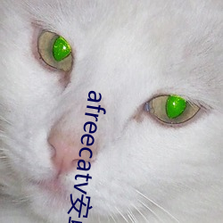 afreecatv安卓版下載