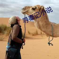 寻秦记(記)小说