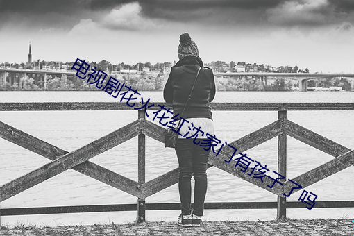 电视剧花火花红沈(沈)家门有孩子了吗(嗎)