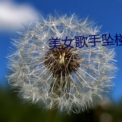 美女(女)歌(歌)手(手)坠楼(樓)