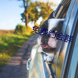 免费约会群