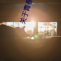 關于青春的唯美文段