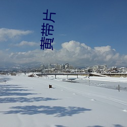 黄带片(片)