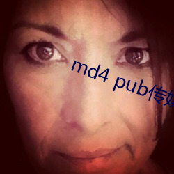 md4 pub传媒