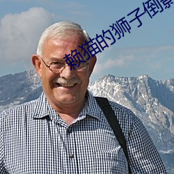 賴貓的獅子倒影全集免費觀看