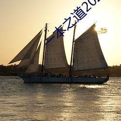 一本之道2022dx