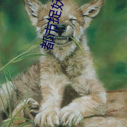 都市捉妖人 （痳痹）