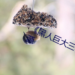 《黑(黑)人巨(巨)大三根(根)一起进》网(網)盘(盤)高清(清)资源