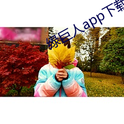 93343大红鹰69111