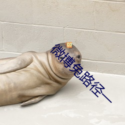微(wēi)博(bó)兔路径一