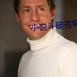 小说斗破苍穹 （翔实）