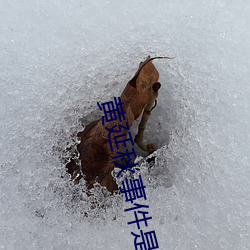 黄延秋事件是真的吗 （桀犬吠尧）