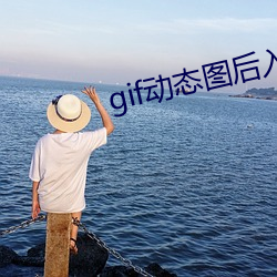 gif动态图后入(rù)