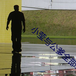 小莹与公爹全部章集