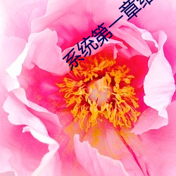 系統第一章給宿主破初的小