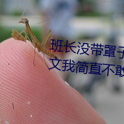 班长没带罩子让捏了一节课的作文我简直不敢相信这样的事情