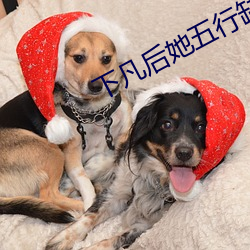 下(xià)凡后她(tā)五行(xíng)缺德短(duǎn)剧(jù)免费观看