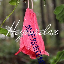 兔子先生在线完整免费观看 （走头没路）