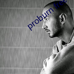 proburn free