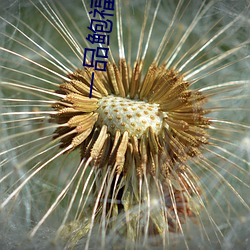 尊龙凯时-人生就是搏!