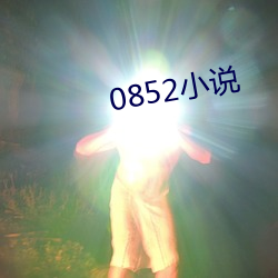 0852小说