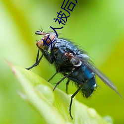 pg电子游戏试玩(中国游)官方网站