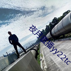 夜月直播yy22tc