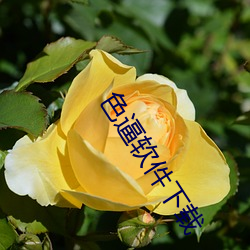 尊龙凯时-人生就是搏!