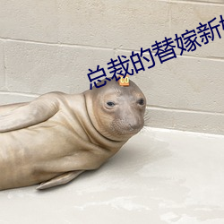 总裁(cái)的替嫁新娘