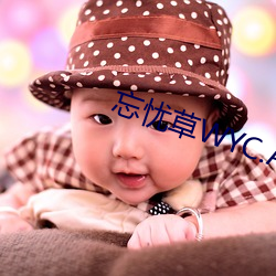 忘忧草WYC.APK （打点）