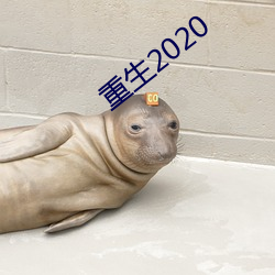 重生2020