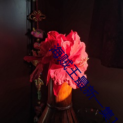 海賊王最新一集1066