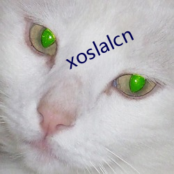 xoslalcn ͨŲ